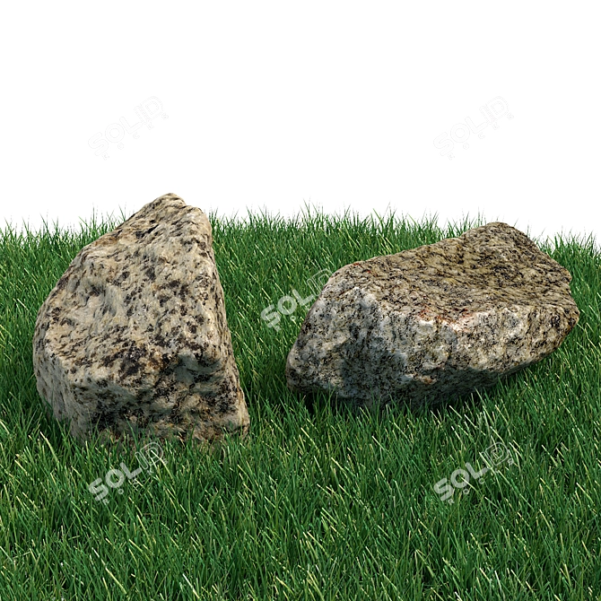 360 Degree Scanned Stones for Landscaping 3D model image 4