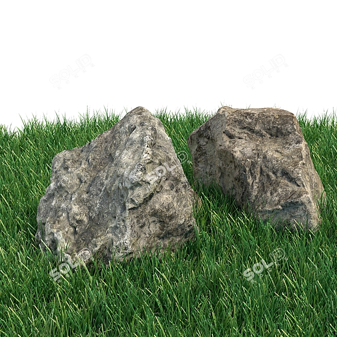 Scanned Stone Landscaping Kit 3D model image 4