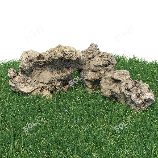 360° Scanned Landscape Stones 3D model image 1