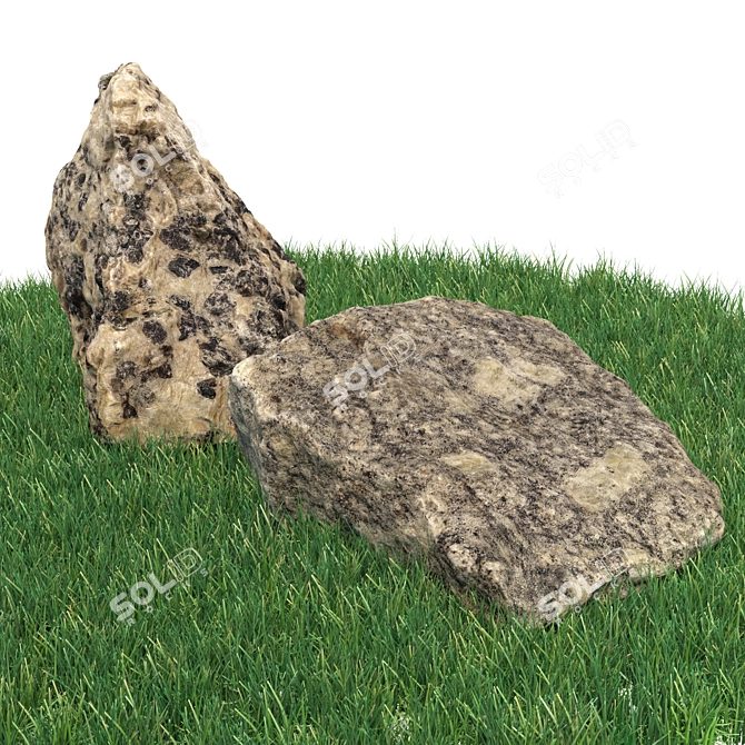 Title: Scanned Stones for Landscaping 3D model image 6