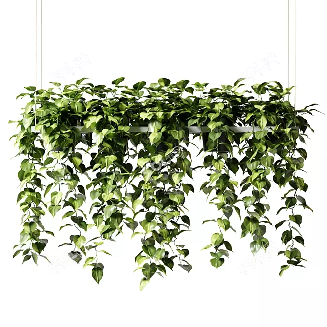 Epipremium Hanging Plants in Rectangular Planter 3D model image 1