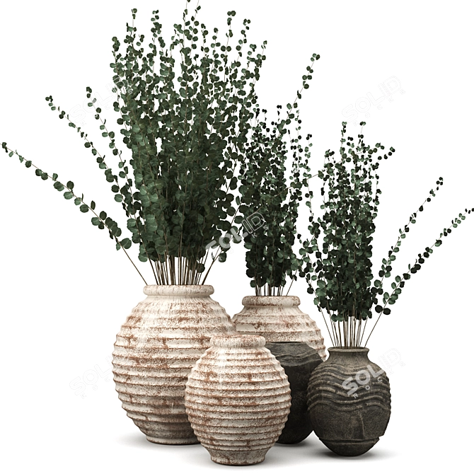 Handcrafted Clay Vases with Eucalyptus 3D model image 3