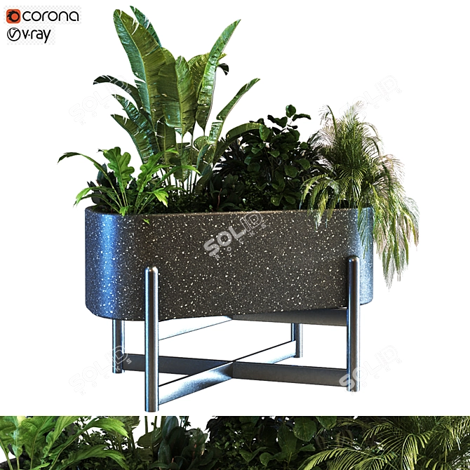 Elegant Plant Box Set 062 3D model image 1