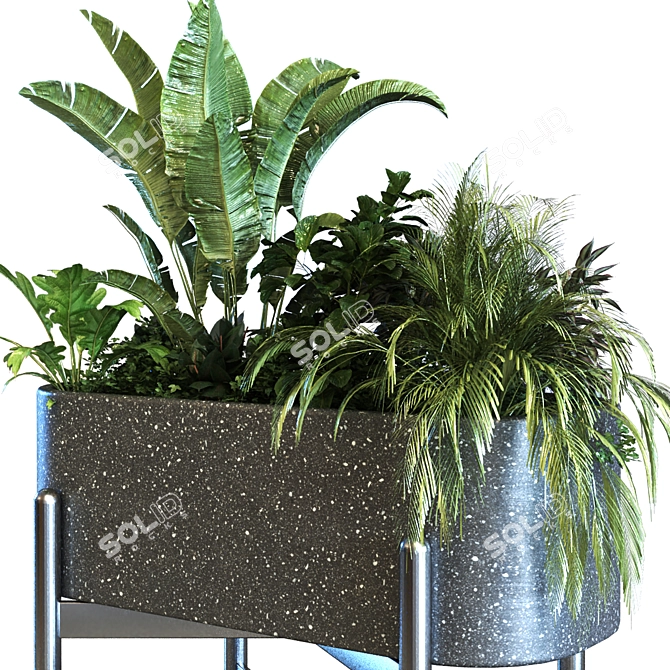 Elegant Plant Box Set 062 3D model image 2