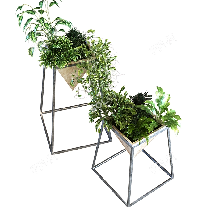 Elegant Plant Vase Set 3D model image 5