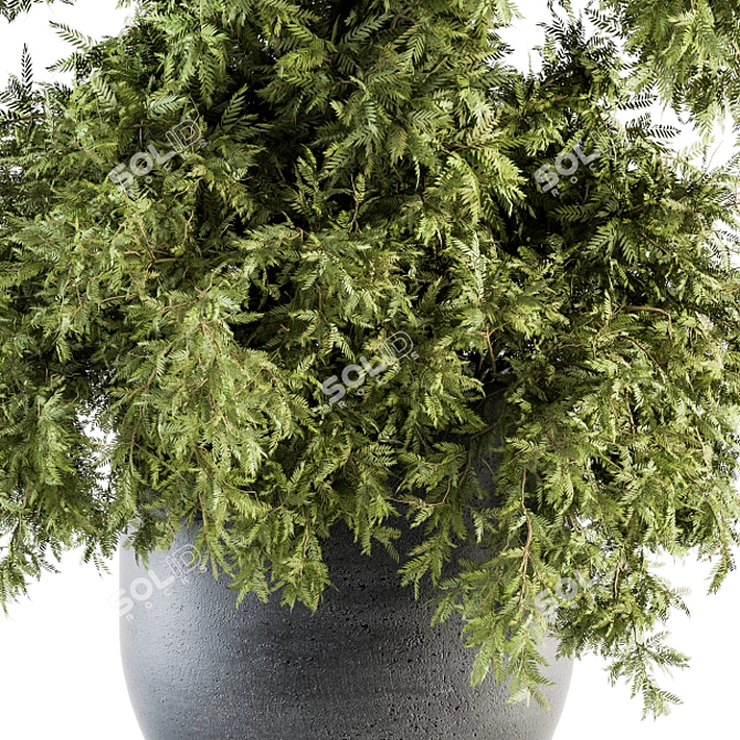 Green Oasis - Outdoor Plant Set 3D model image 3
