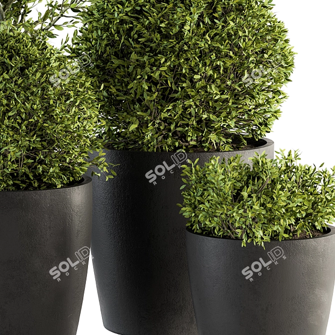 Green Oasis Plant Set 3D model image 2