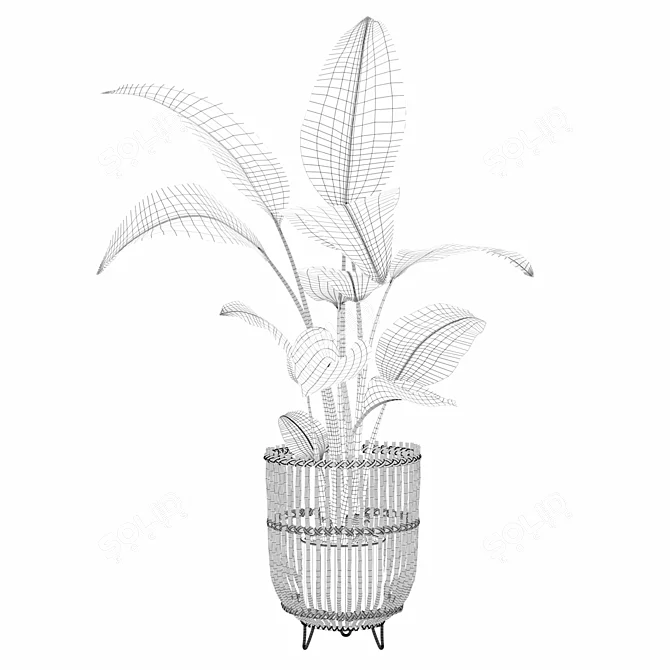 Striking Strelitzia: Plants Collection 103 3D model image 4