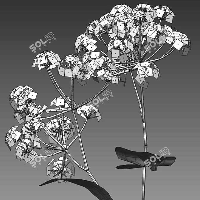 Wildflower 3D Model Set 3D model image 4