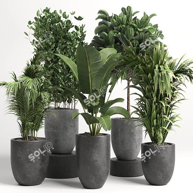 Modern Concrete Vase: Indoor Plant Collection 3D model image 1