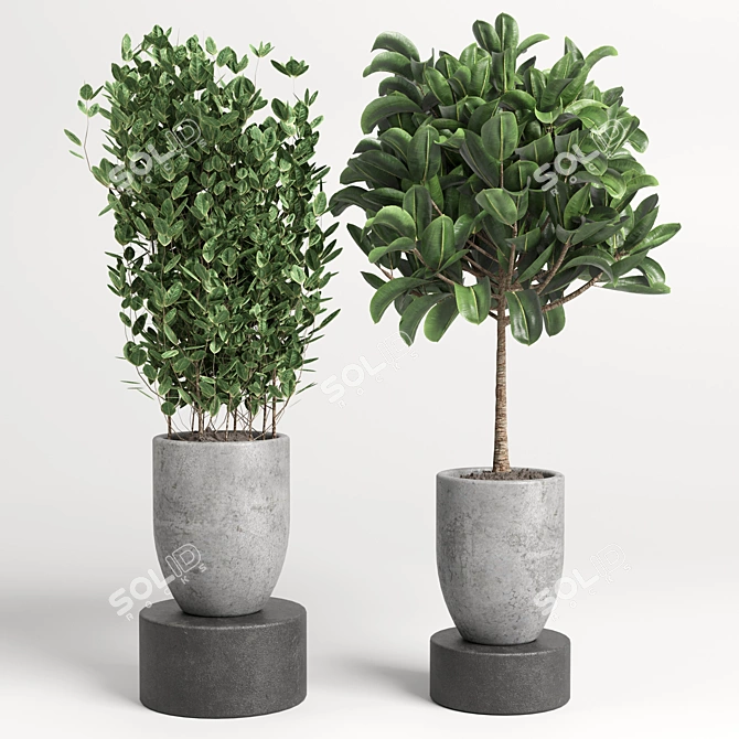 Modern Concrete Vase: Indoor Plant Collection 3D model image 2