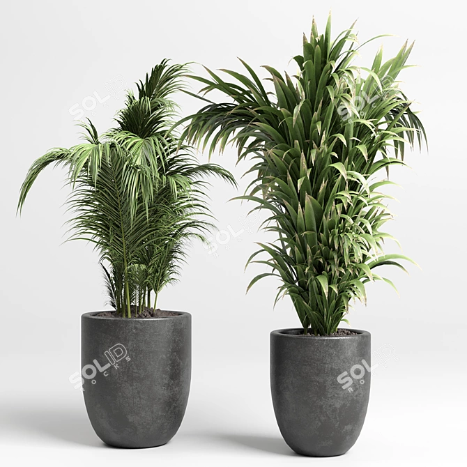 Modern Concrete Vase: Indoor Plant Collection 3D model image 3