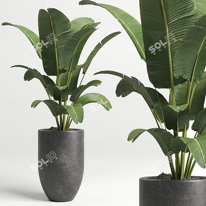 Modern Concrete Vase: Indoor Plant Collection 3D model image 4