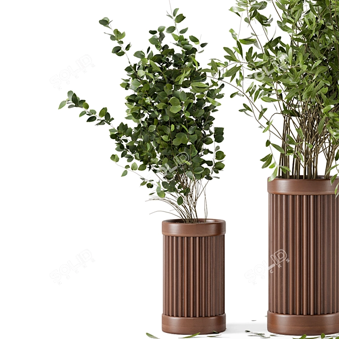 Wooden Pot Indoor Plant Set 3D model image 2