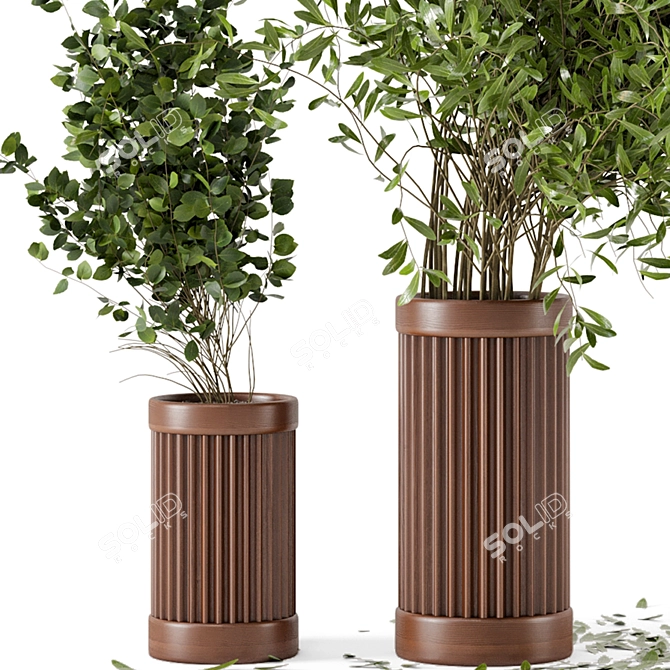 Wooden Pot Indoor Plant Set 3D model image 5