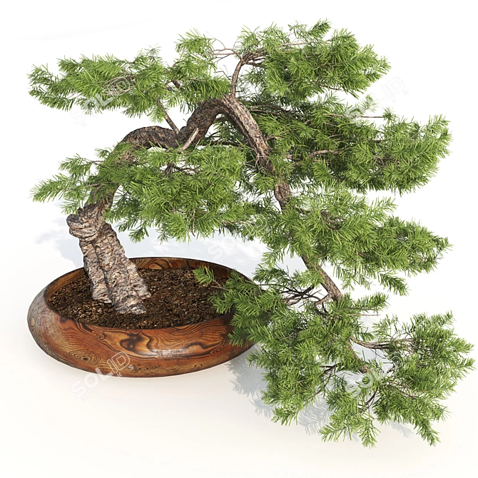 Bonsai Master Kit: 3D Model & Render 3D model image 3