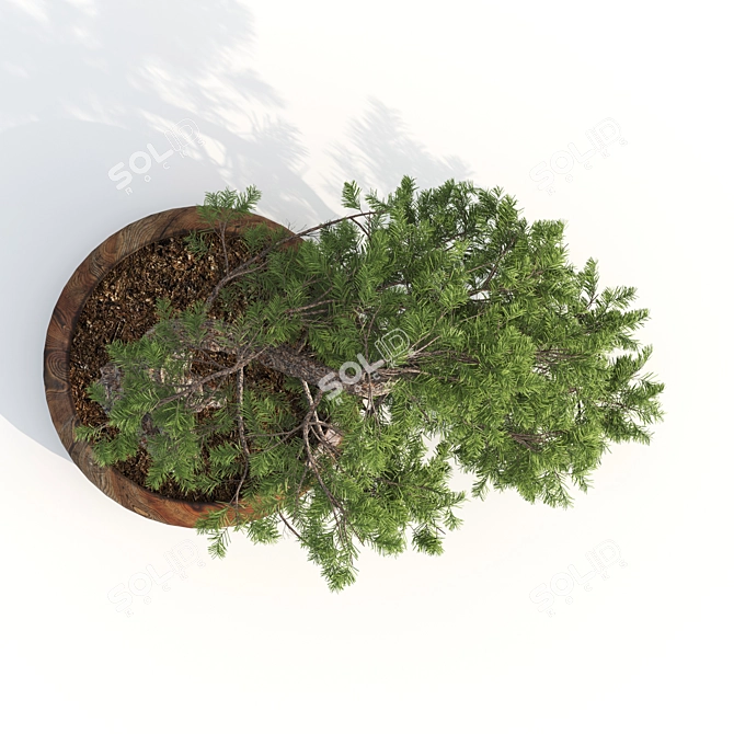 Bonsai Master Kit: 3D Model & Render 3D model image 4