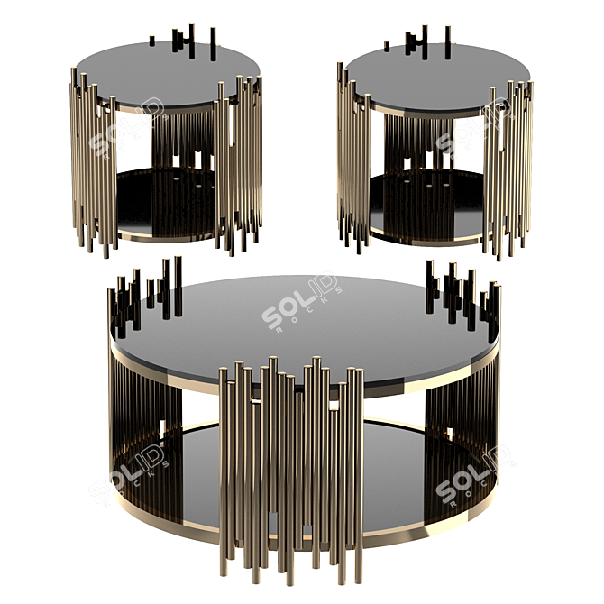 Elegant Tanquin Coffee Table Set 3D model image 10