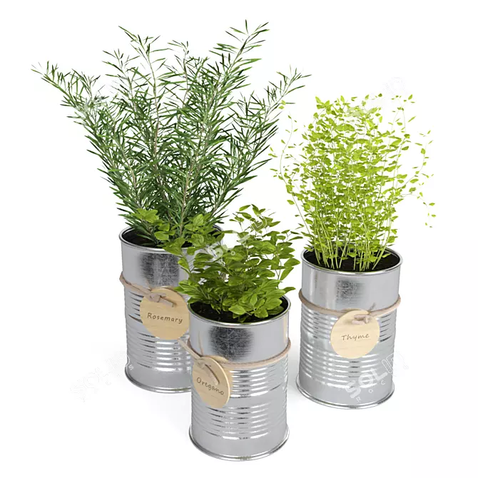 Fresh Herb Trio for the Kitchen 3D model image 2