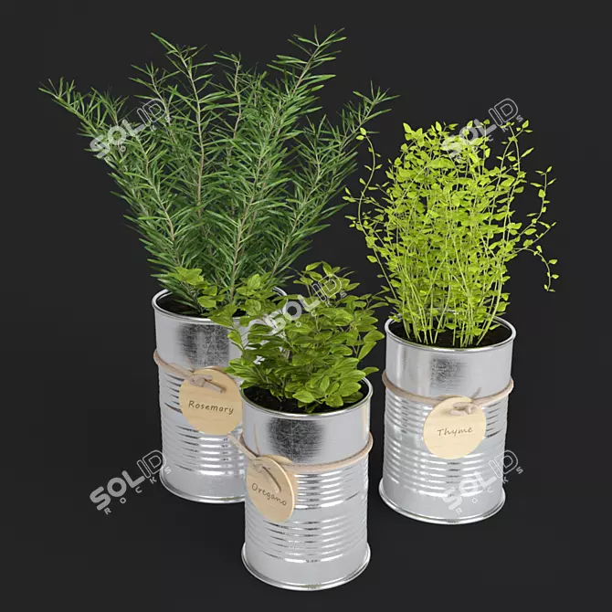 Fresh Herb Trio for the Kitchen 3D model image 3