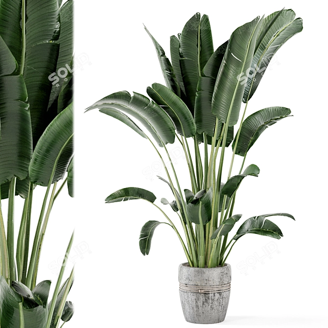 Rustic Concrete Pot with Indoor Plants - Set 124 3D model image 1