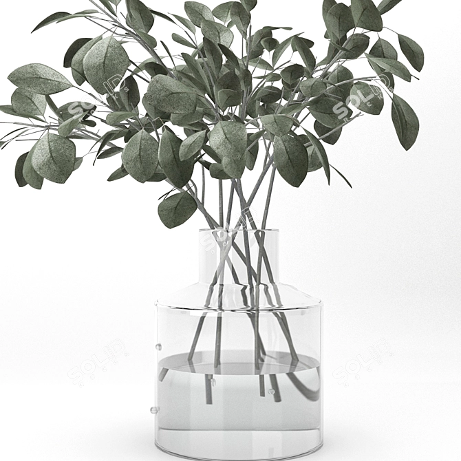 Eucalyptus Glass Vase: Indoor Freshness 3D model image 3