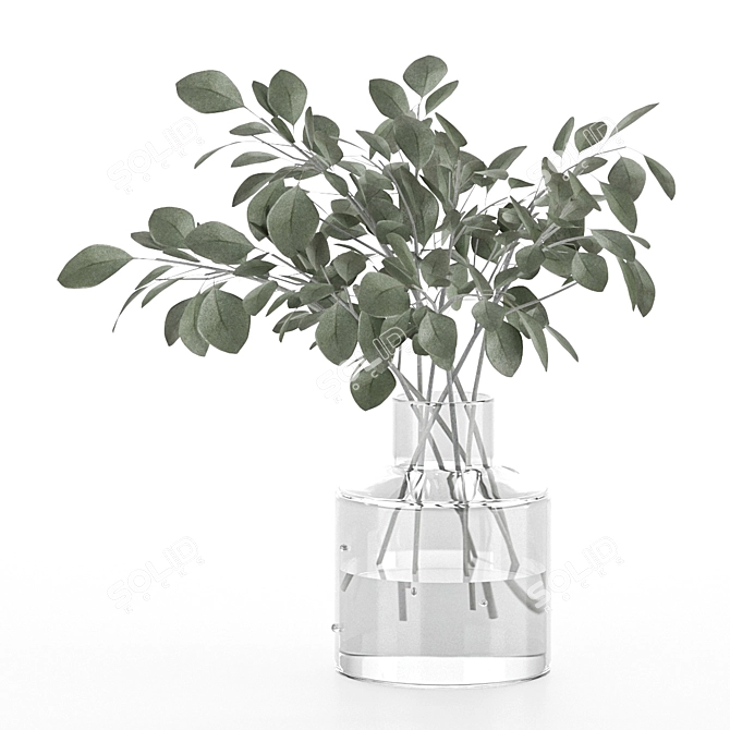 Eucalyptus Glass Vase: Indoor Freshness 3D model image 12