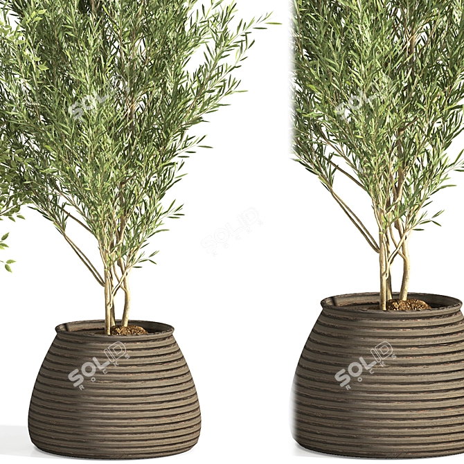 Elegant Plant Stand for Indoor Greenery 3D model image 4