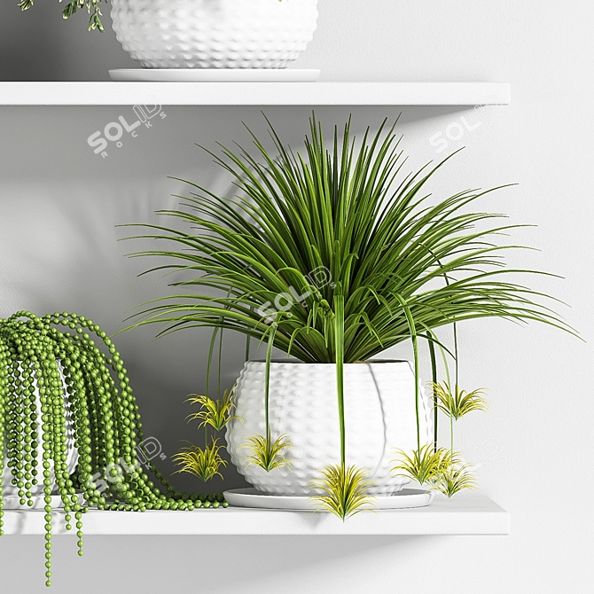 Botanical Bliss: Indoor Plant Set 3D model image 3