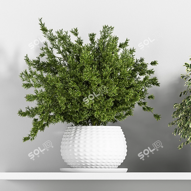 Botanical Bliss: Indoor Plant Set 3D model image 4