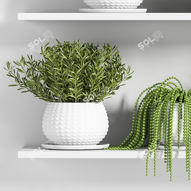 Botanical Bliss: Indoor Plant Set 3D model image 5