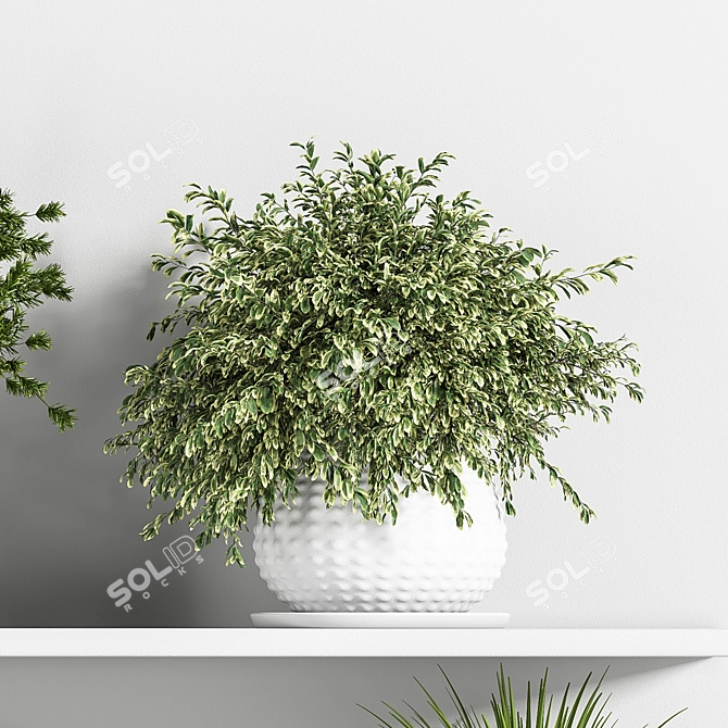 Botanical Bliss: Indoor Plant Set 3D model image 6