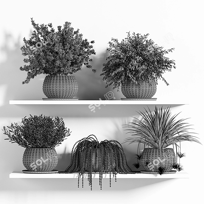 Botanical Bliss: Indoor Plant Set 3D model image 7