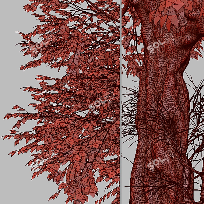 Hangzhou Elm Tree Set (2 Trees) 3D model image 2