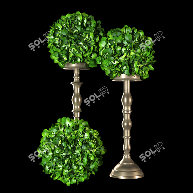 Spherical Iron-Framed Houseplant 3D model image 1