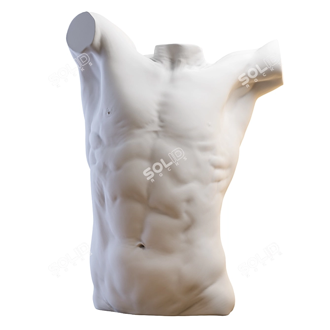 3D Torso Model - 2013 Version 3D model image 2