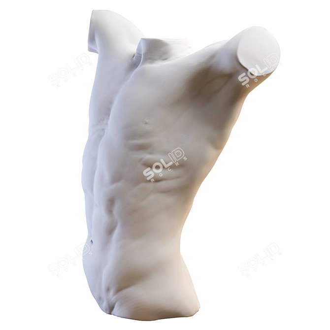 3D Torso Model - 2013 Version 3D model image 4