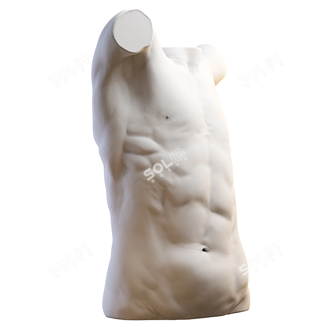 3D Torso Model - 2013 Version 3D model image 5