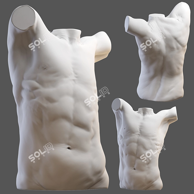 3D Torso Model - 2013 Version 3D model image 8