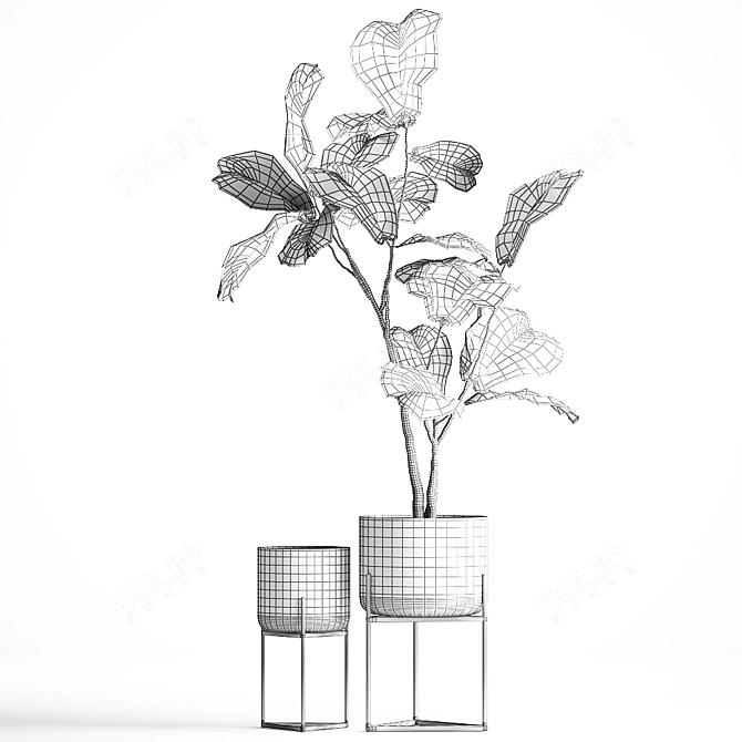 Exotic Tropical Plants in Glass Pot 3D model image 6