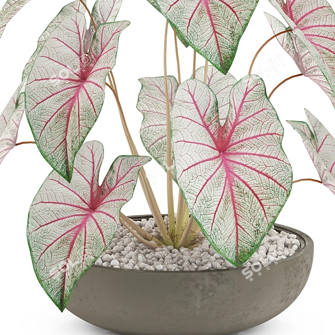 Exquisite Plants - Collection 521 3D model image 2