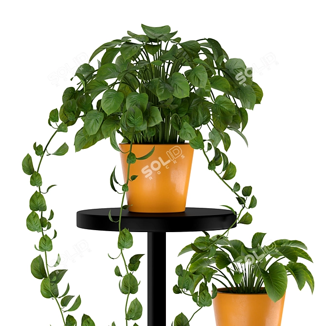 Indoor Plant Stand: Decorative Exotic Pothos & Sansevieria 3D model image 4