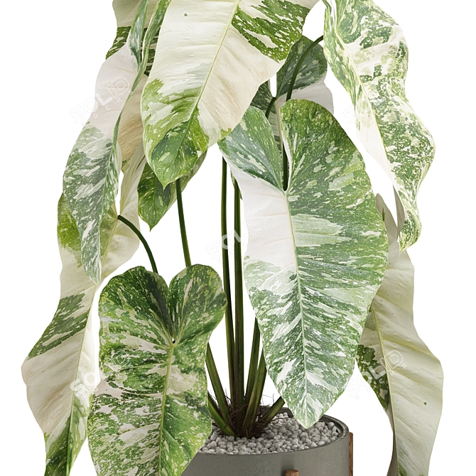 522 Plant Collection: Lush Greenery for Your Space 3D model image 2