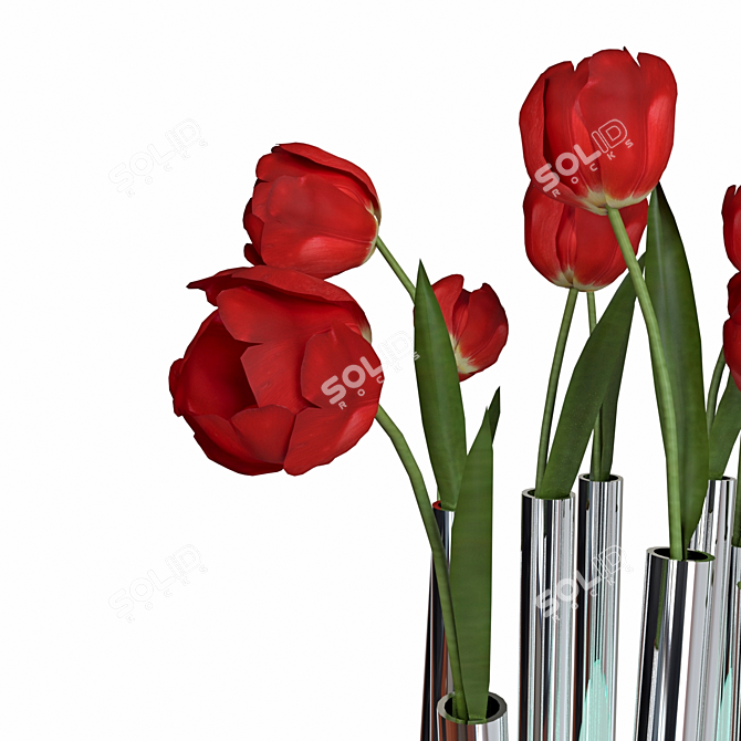 Elegant Tulip Vase - Philippi 3D model image 4