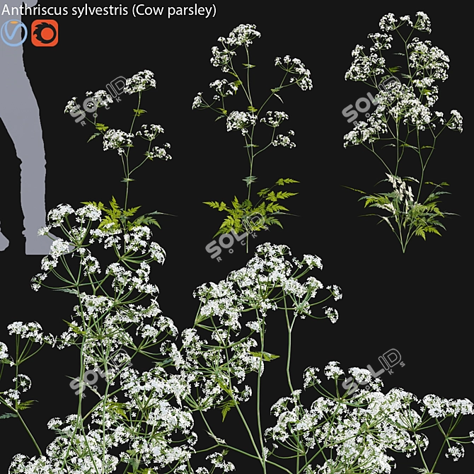 Forest Flower 3D Model Bundle 3D model image 1