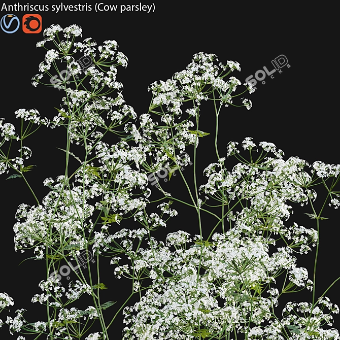 Forest Flower 3D Model Bundle 3D model image 2