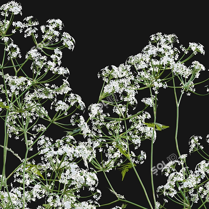 Forest Flower 3D Model Bundle 3D model image 3