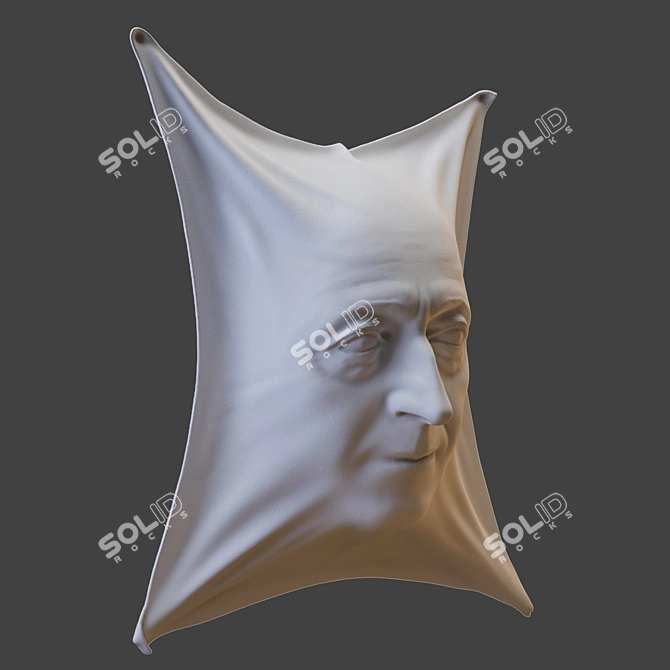 Sleek Face Sculpture 3D model image 7