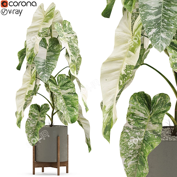 Botanical Bliss: Diverse Plant Collection 3D model image 1