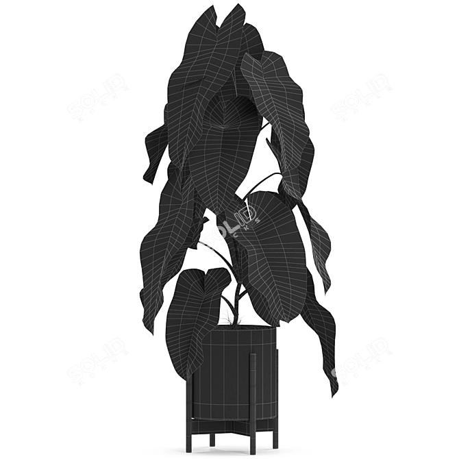 Botanical Bliss: Diverse Plant Collection 3D model image 3